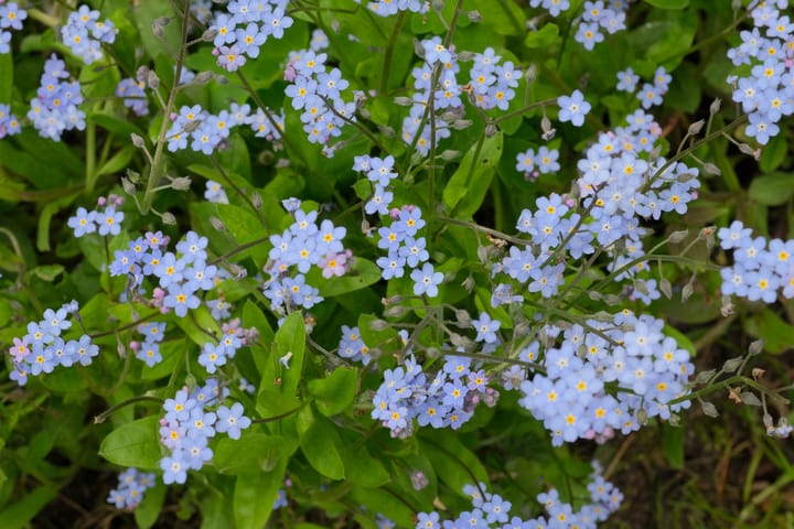 Foto 25 van Meulenbeldlaan 101