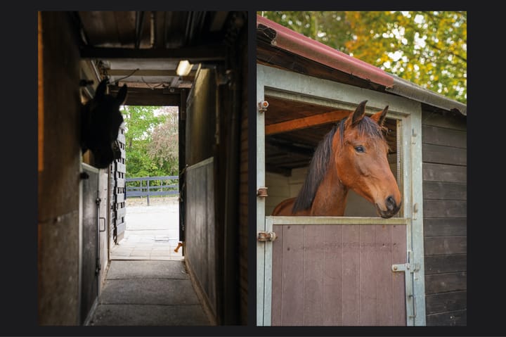 Photo 5 of Heuvelstraat 27