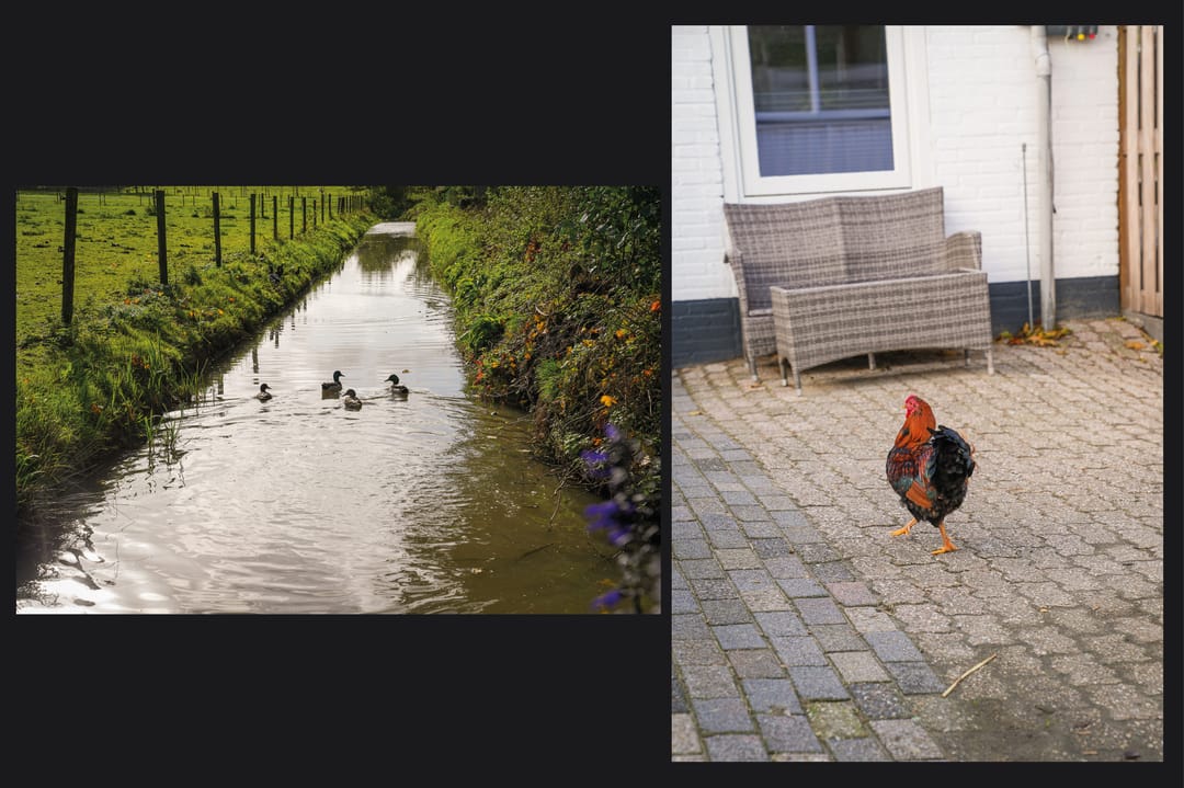 Photo 37 of Heuvelstraat 27