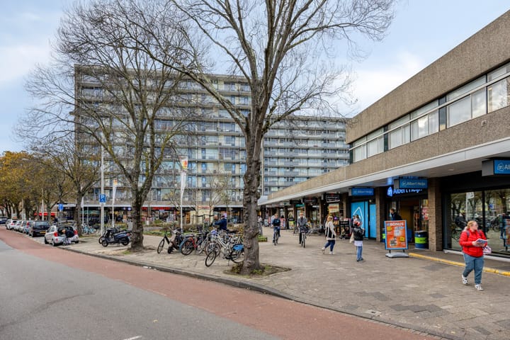 Foto 29 van Soestdijksekade 295