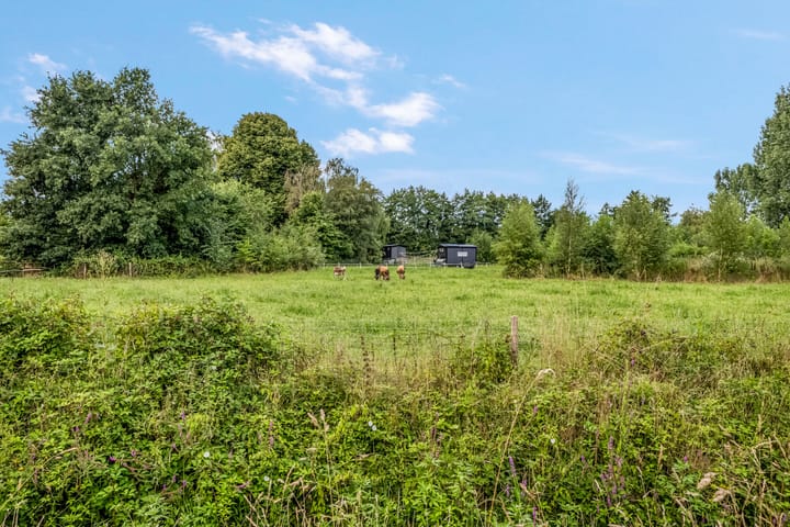 Foto 7 van Rietdekkerslaan 54