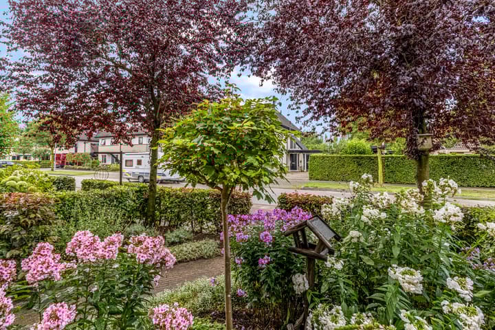 Foto 55 van Rietdekkerslaan 54