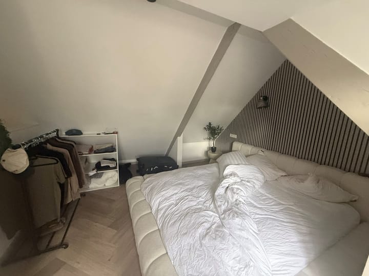 Photo 20 of Pieter Cornelisz. Hooftstraat 141-B