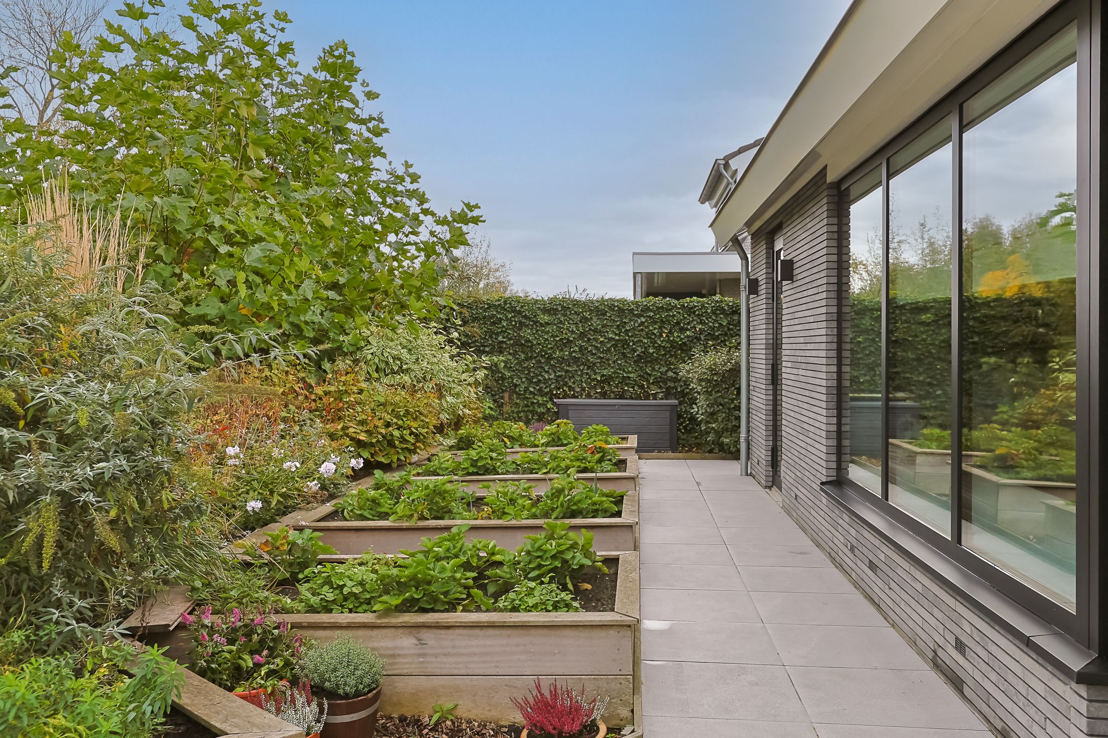 Foto 78 van De Regenboog 3