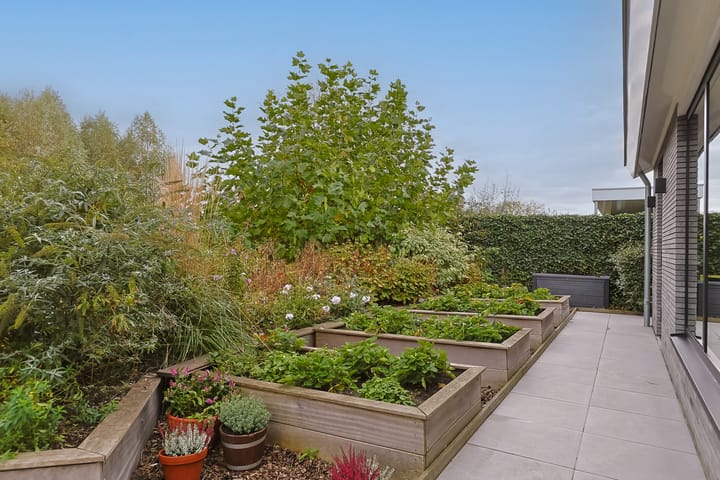 Foto 79 van De Regenboog 3