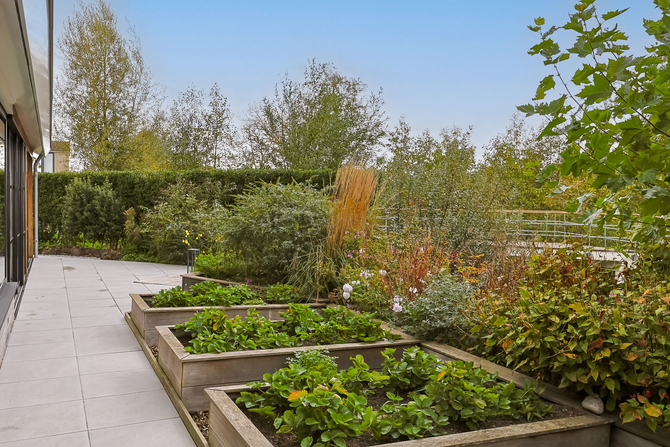 Foto 84 van De Regenboog 3