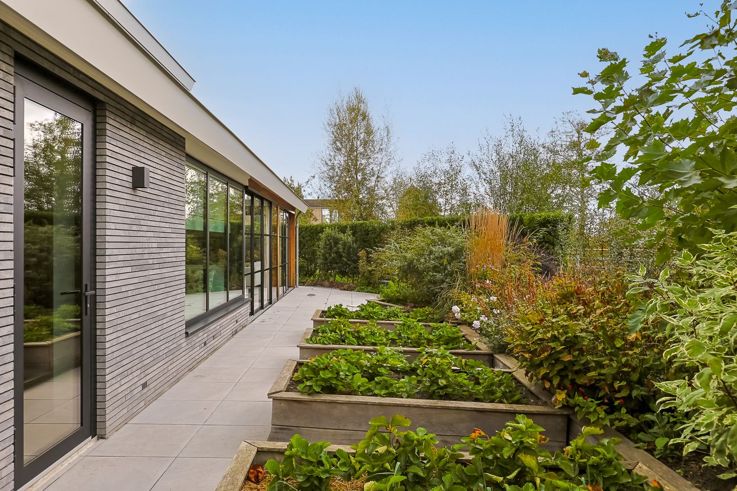 Foto 85 van De Regenboog 3