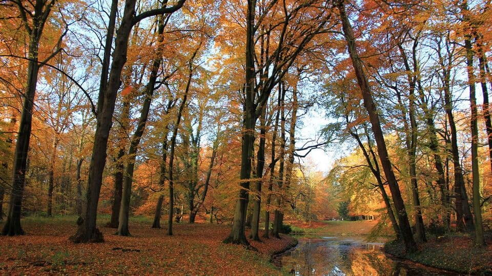 Foto 26 van Linge 87