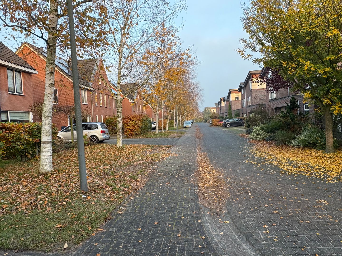 Foto 5 van Valkenveld 21