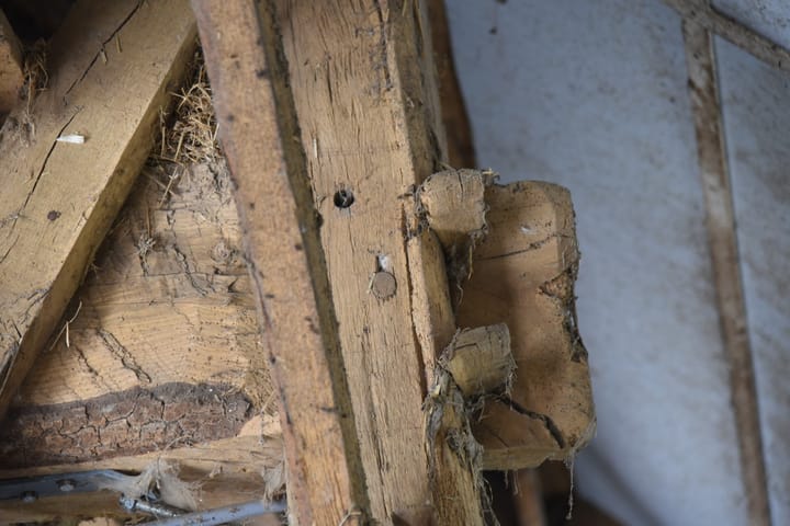 Foto 17 van Bloemenkampsweg 7