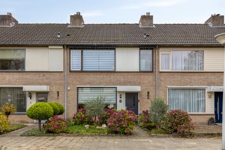 Koolzaadpad thumbnail