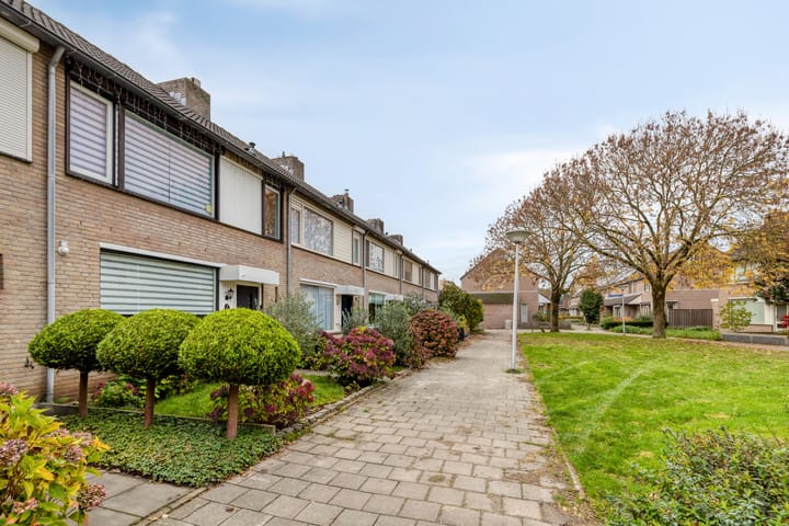 Foto 3 van Koolzaadpad 5