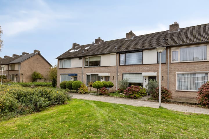 Foto 2 van Koolzaadpad 5