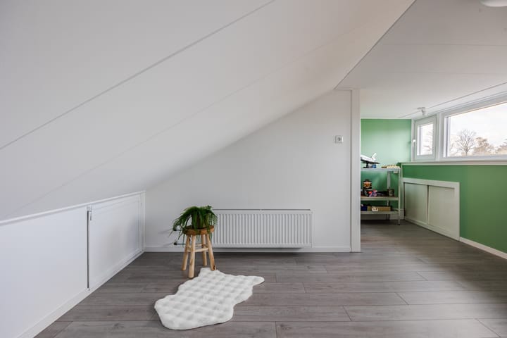 Foto 30 van Irenestraat 19