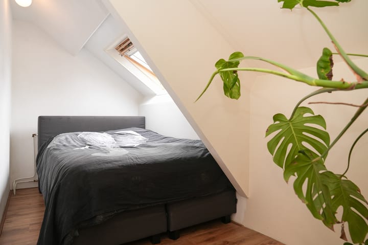 Foto 42 van Paterstraat 2