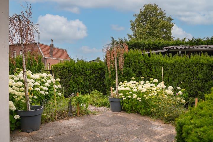 Foto 55 van Paterstraat 2