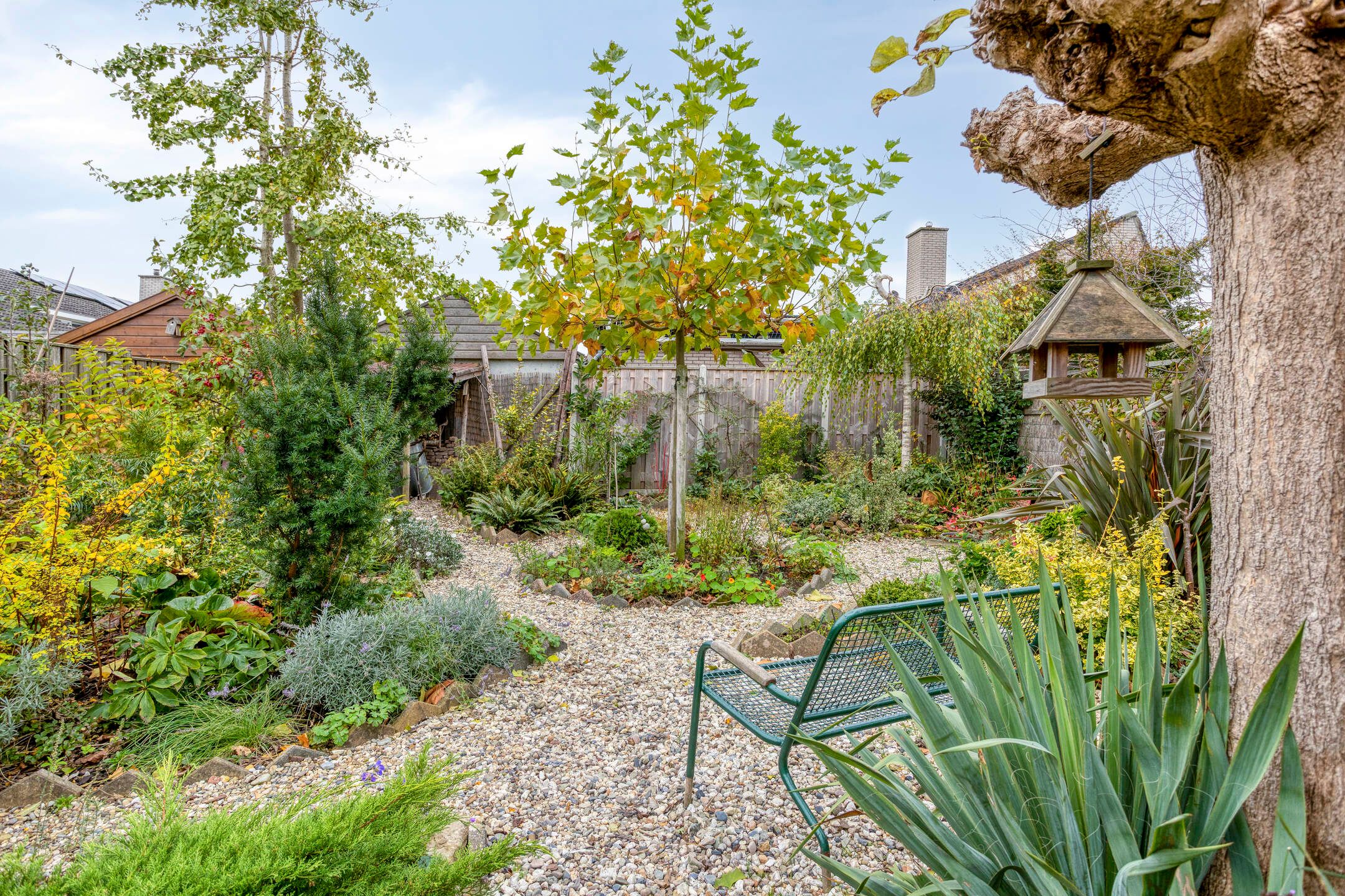 Foto 42 van Vikingstraat 5