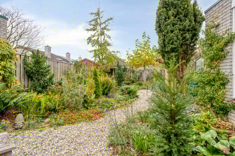 Vikingstraat 5 secondary image