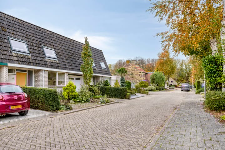 Photo 48 of Vikingstraat 5