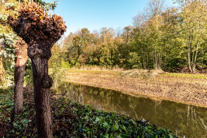 Foto 50 van Eaglelaan 183