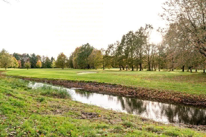 Foto 58 van Eaglelaan 183