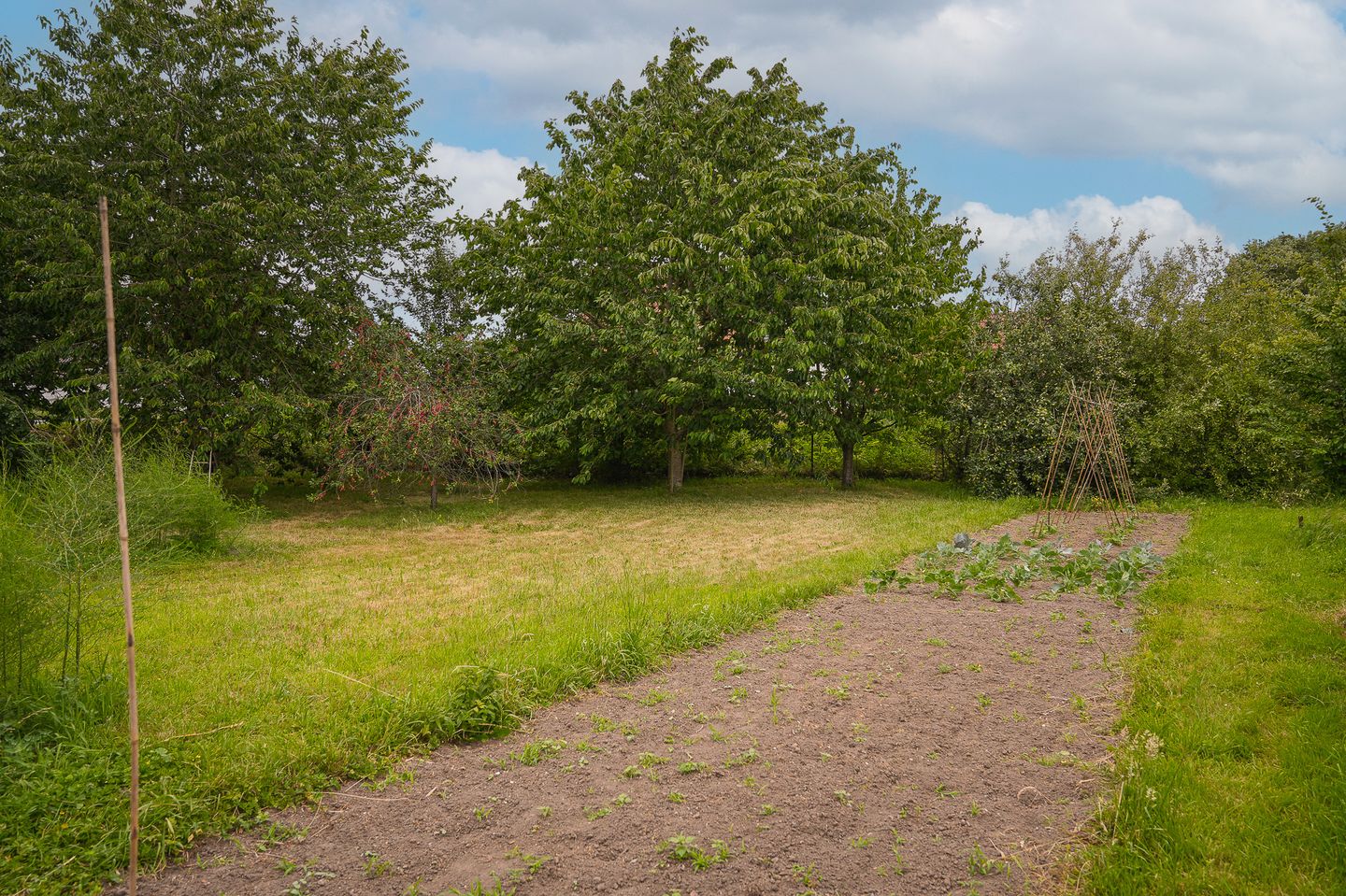 Photo 10 of Paterstraat