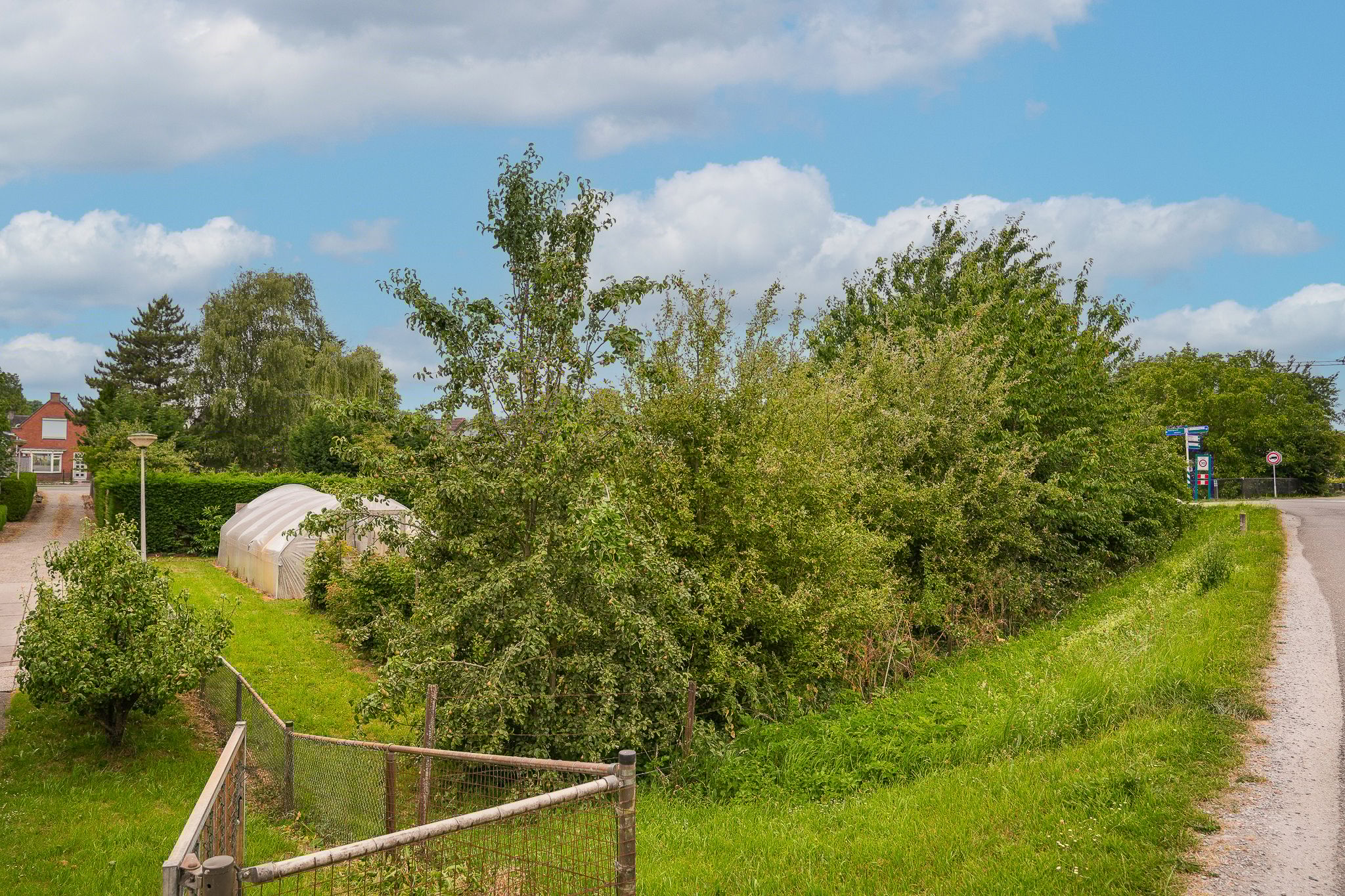 Photo 6 of Paterstraat