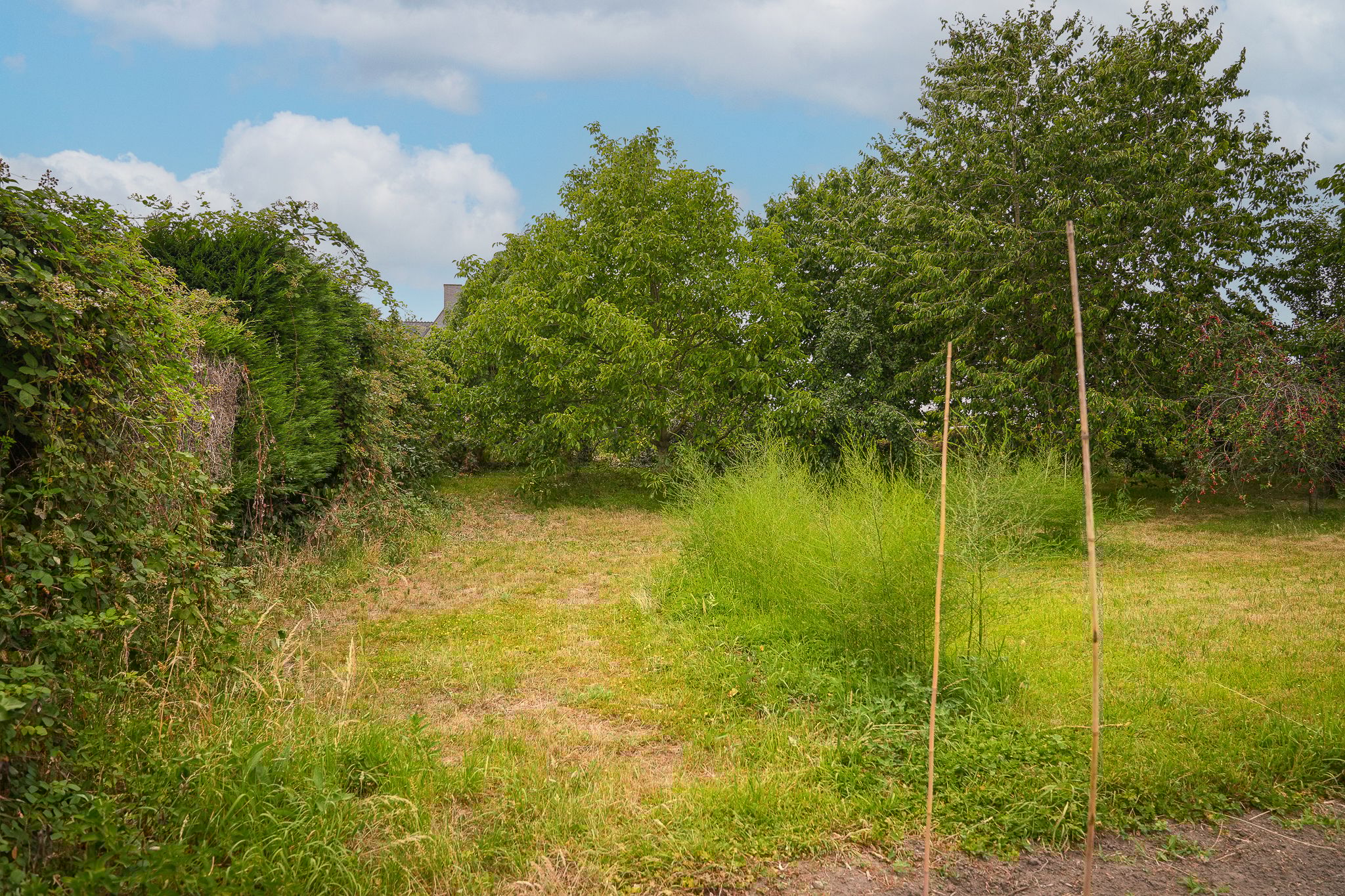 Photo 9 of Paterstraat