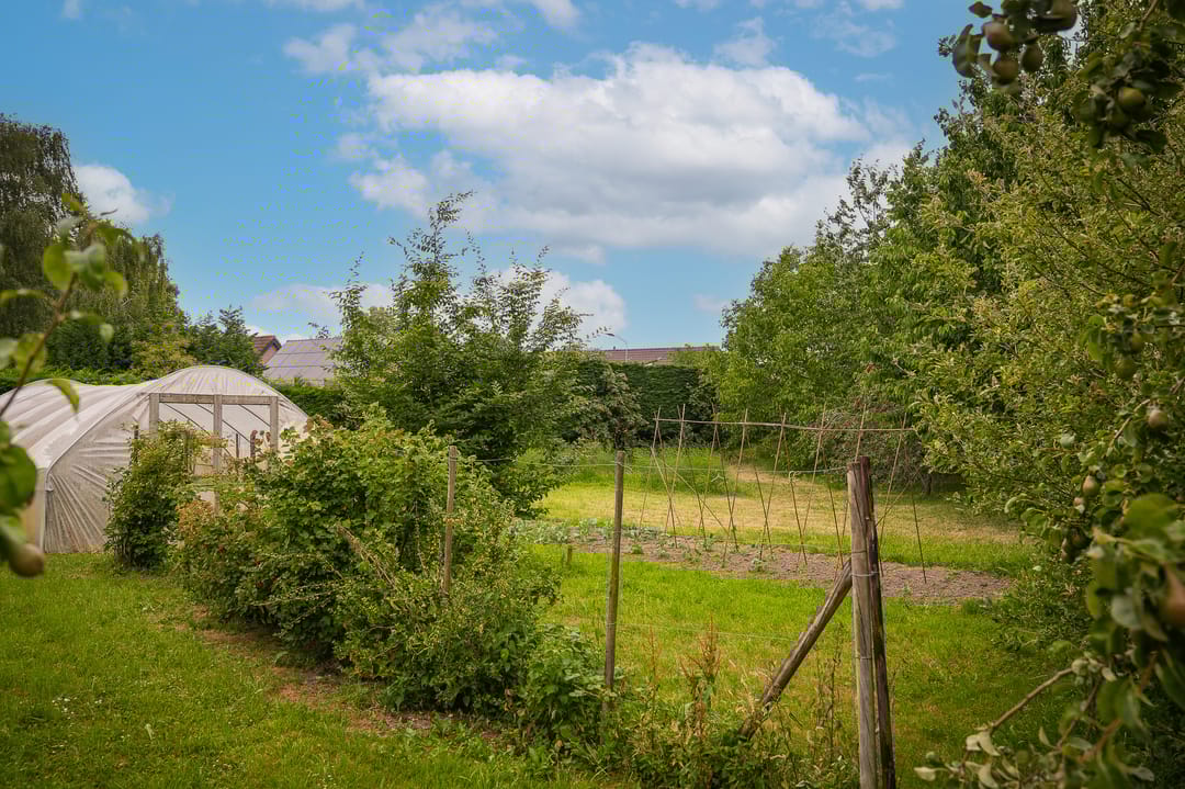 Photo 7 of Paterstraat