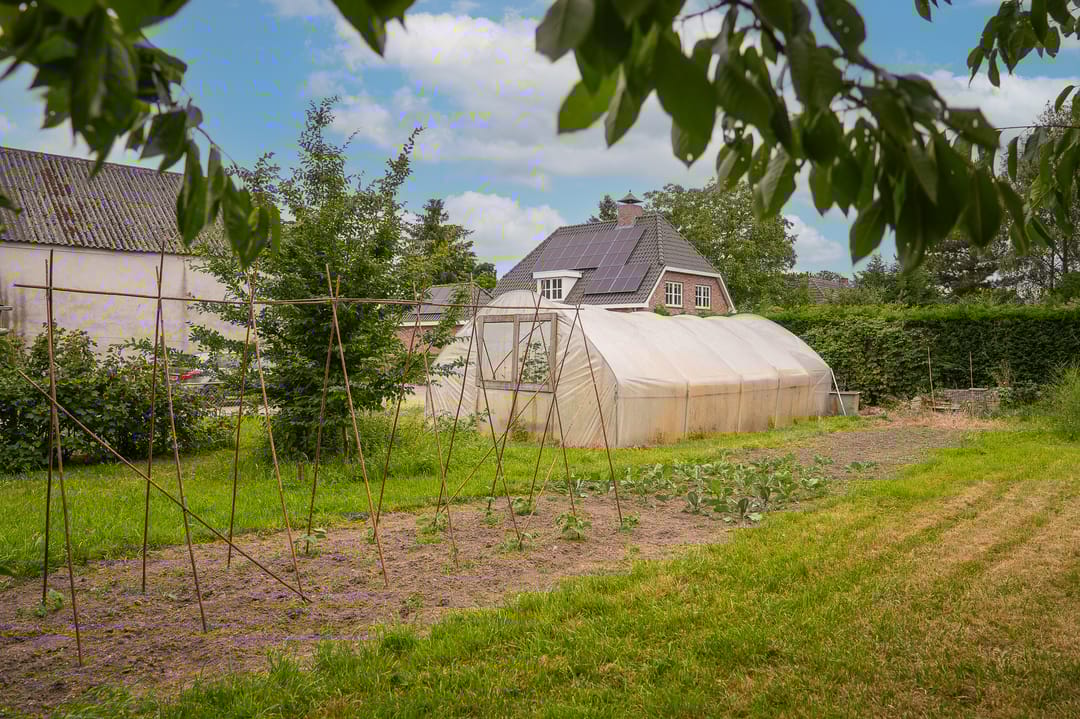 Photo 11 of Paterstraat