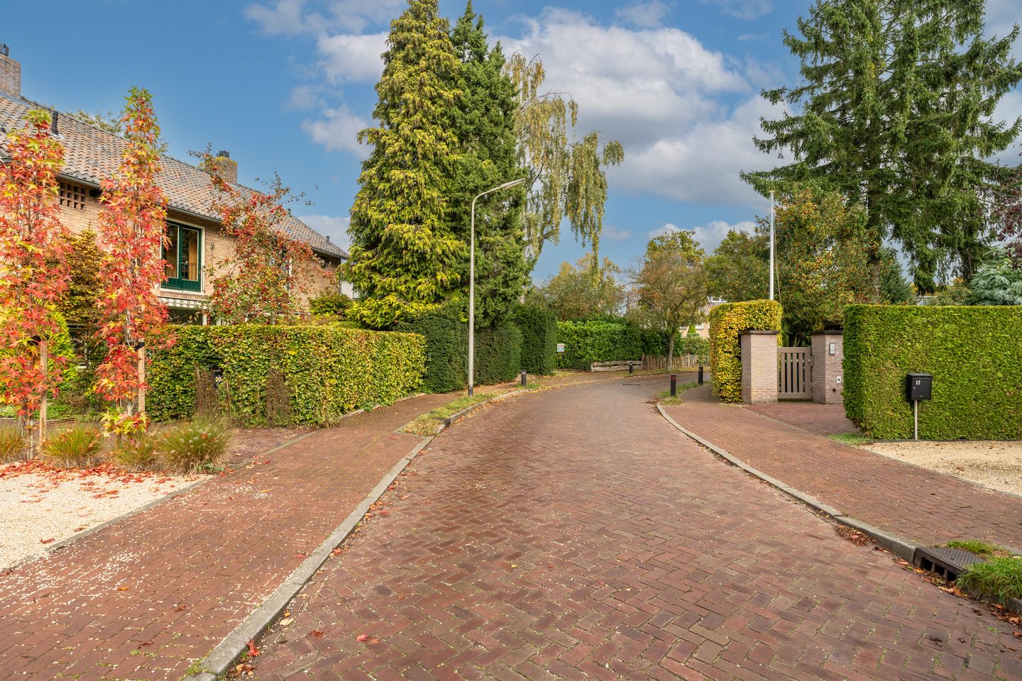 Foto 44 van 't Tuintje 18