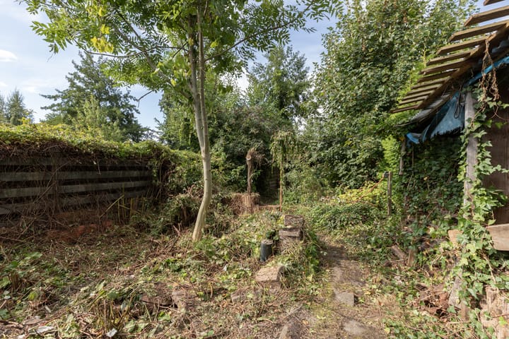 Photo 38 of Wilhelminastraat 44