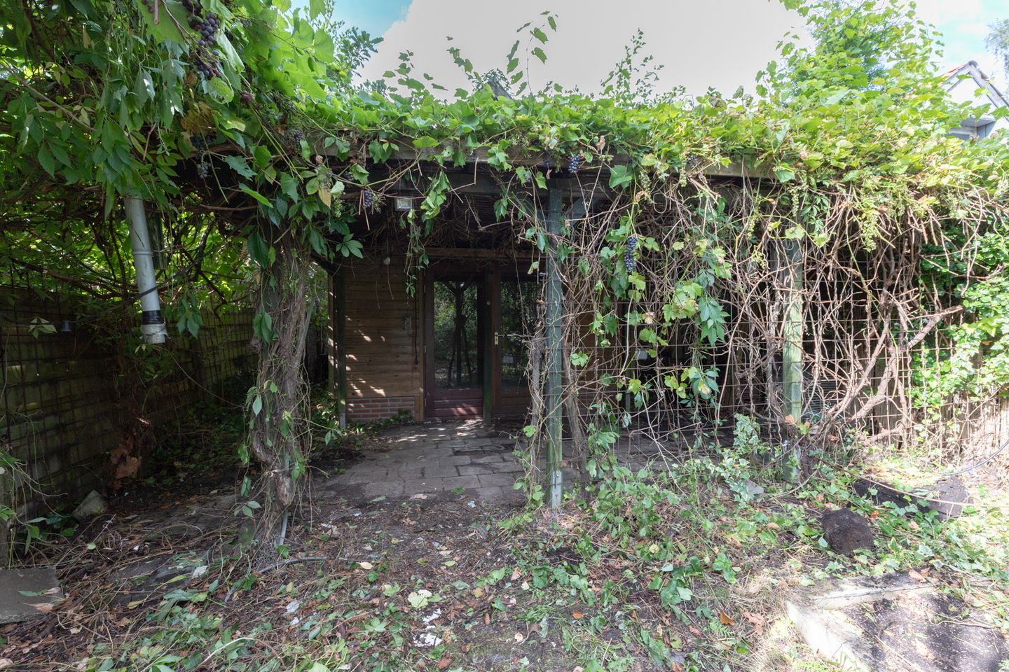 Foto 40 van Wilhelminastraat 44