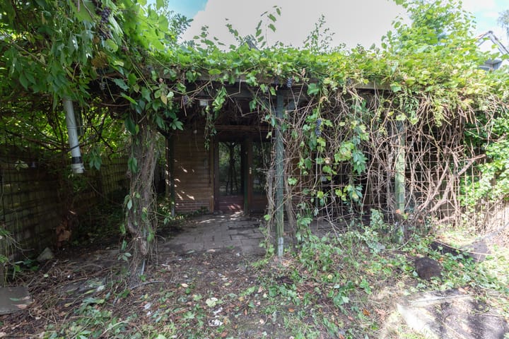 Photo 40 of Wilhelminastraat 44