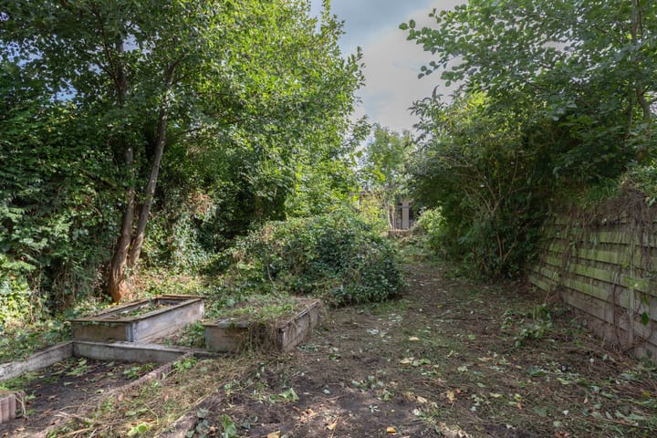 Photo 43 of Wilhelminastraat 44