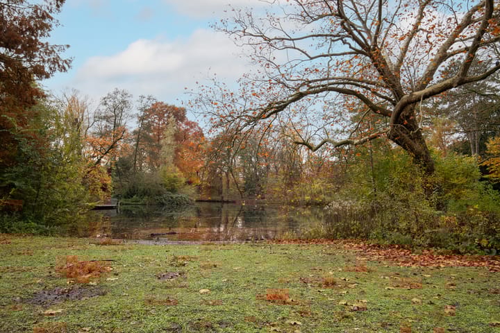 Photo 28 of Edisonstraat 114