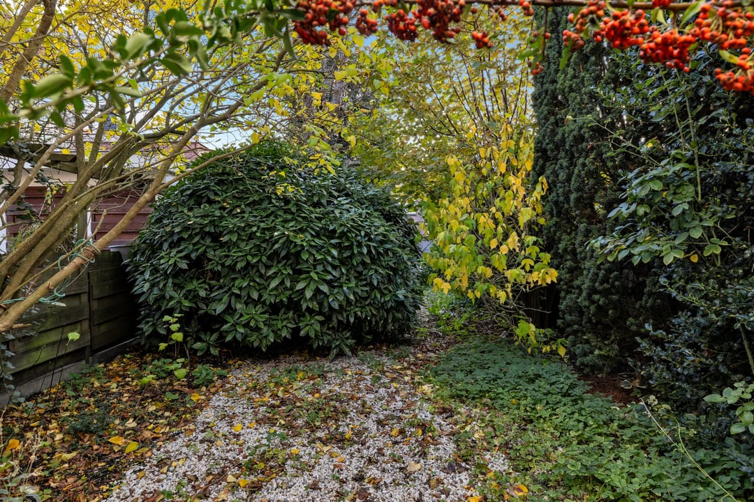 Foto 58 van Zaanenlaan 149