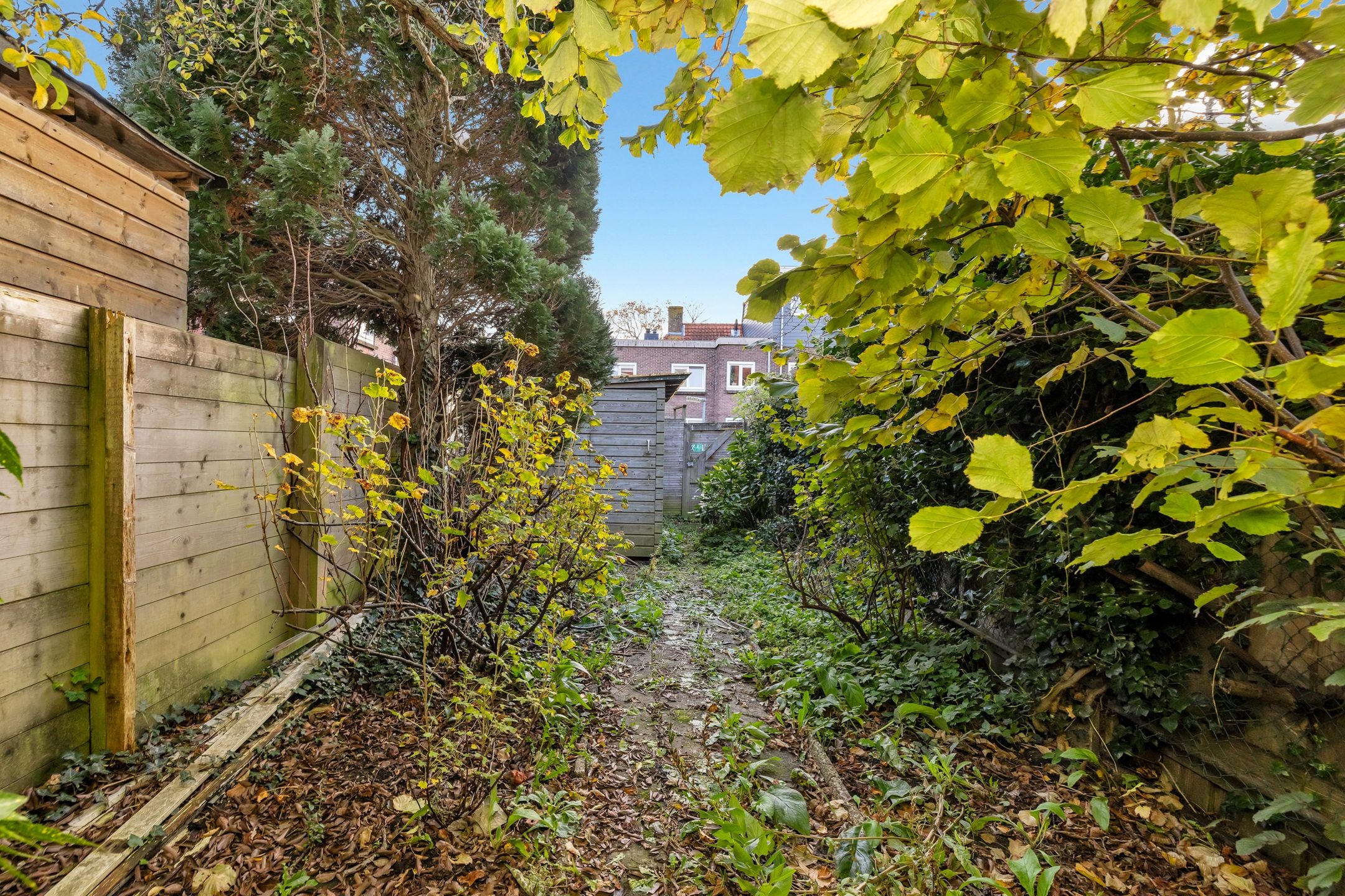 Foto 60 van Zaanenlaan 149