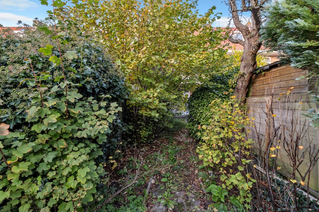 Foto 62 van Zaanenlaan 149