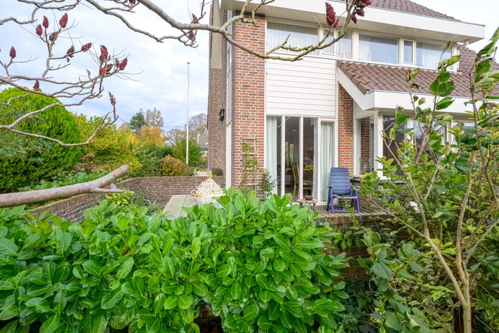 Photo 43 of Trambaan 11