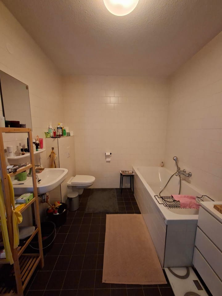 Foto 7 van Emmy Andriessestraat 306