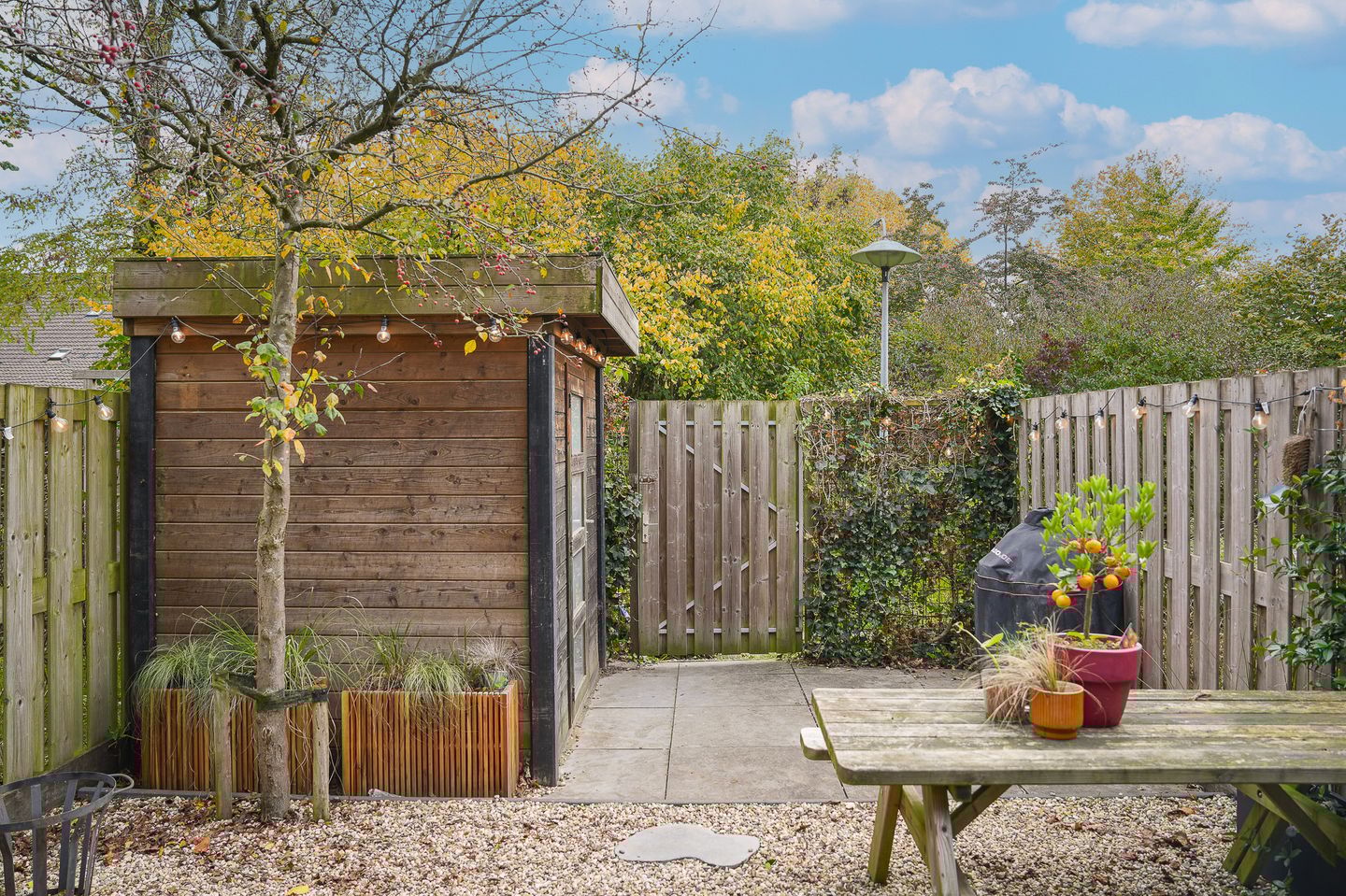 Foto 25 van Albert van Dalsumlaan 215