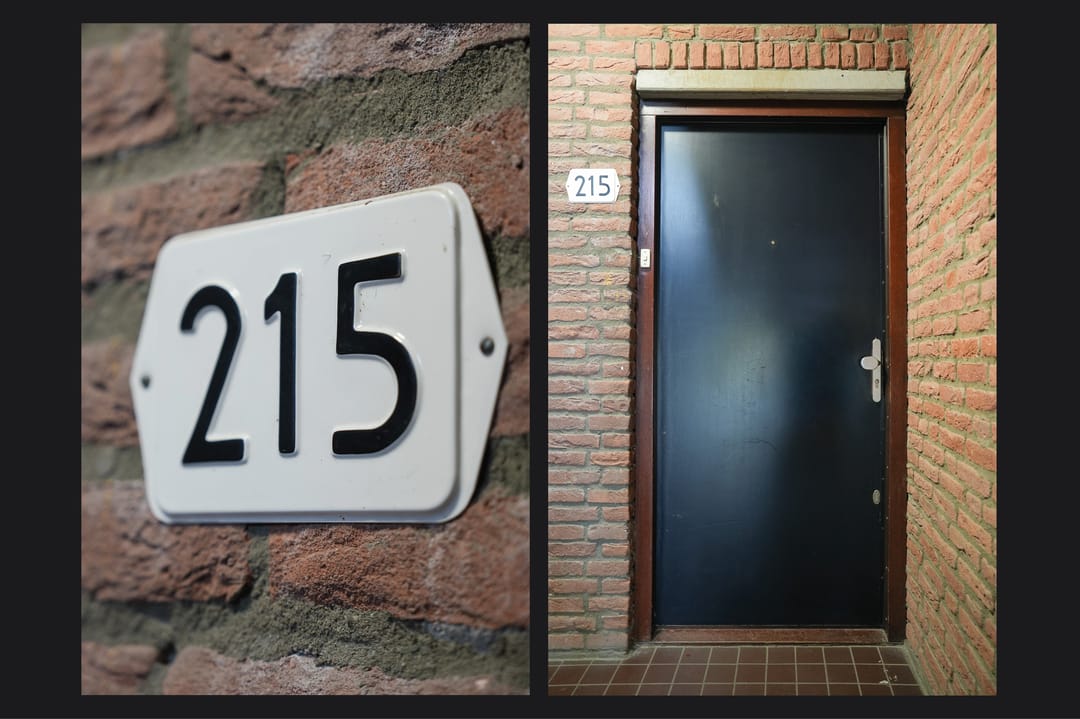 Foto 28 van Albert van Dalsumlaan 215