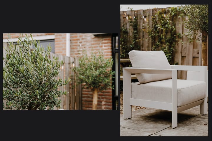 Photo 29 of Albert van Dalsumlaan 215