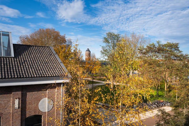 Foto 35 van Wisselstraat 10