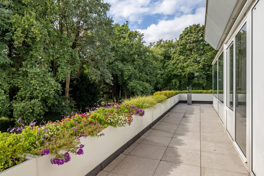 Foto 23 van Javalaan 115