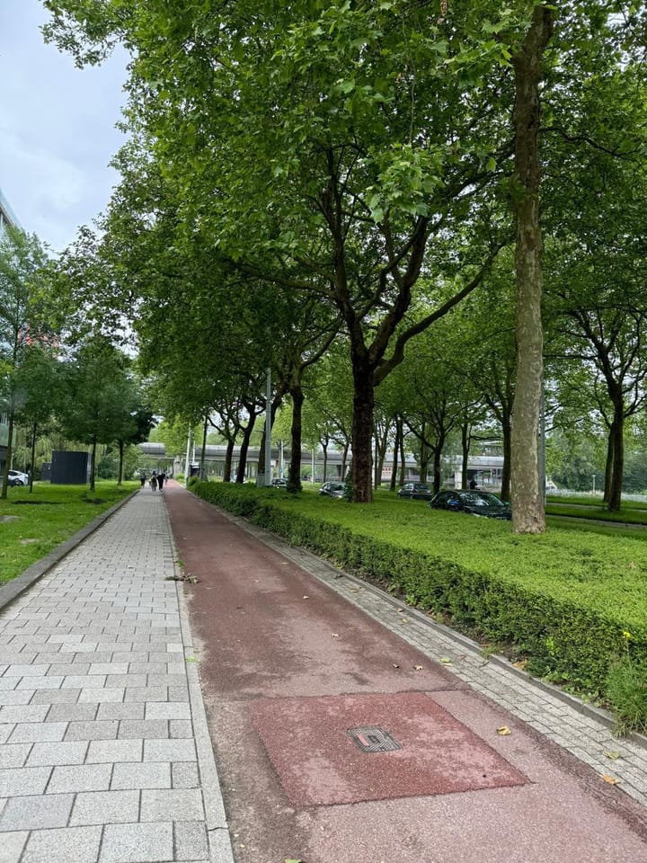 Photo 31 of Maassluisstraat 19