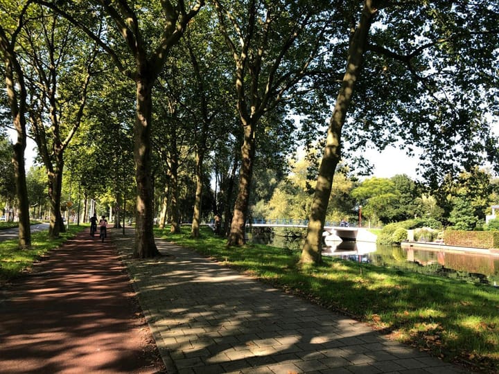 Photo 35 of Maassluisstraat 19