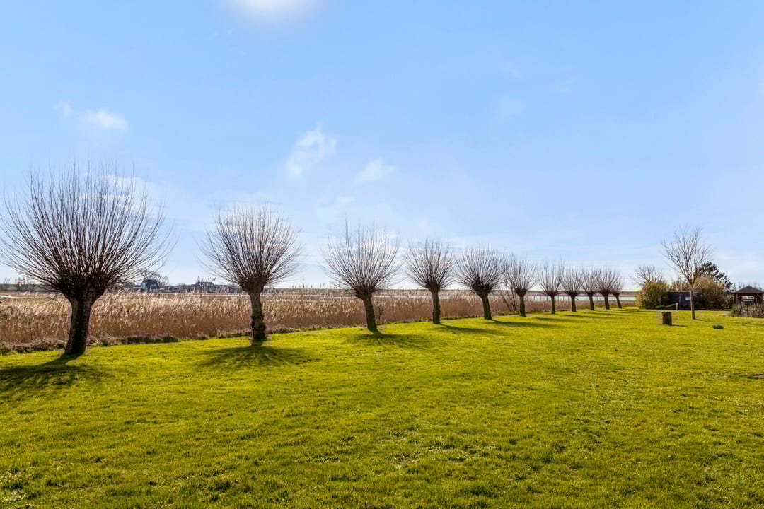 Foto 52 van Provincialeweg 11