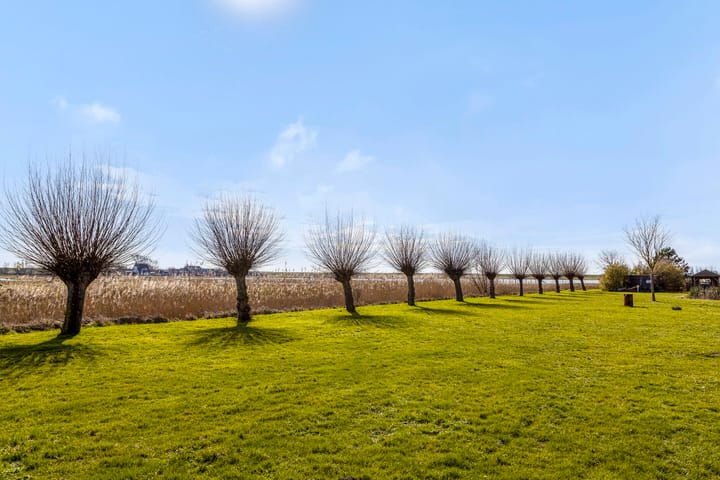 Foto 52 van Provincialeweg 11